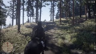 RDR2 COLLECTORS GLITCH [upl. by Eslehc]