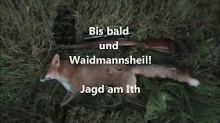 Letzte Versuche auf einen Bock Fuchs kann immer kommen [upl. by Hgielah310]