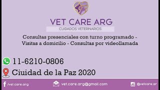 Vet Care Arg [upl. by Philippine583]