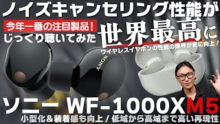 ソニー WF1000XM5 最高のワイヤレスイヤホン誕生か？！歴代機種との比較レビュー！ [upl. by Enirrok]