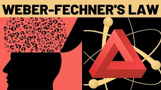 Weber Fechners Law Explained [upl. by Reywas799]