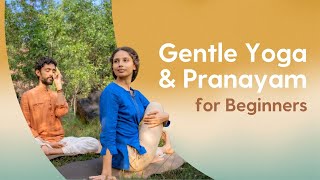 Easy Yoga Asanas amp Pranayama  30 Minutes  Hatha Asanas amp Anulom Vilom Pranayama [upl. by Cho456]