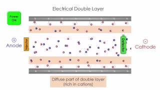 Capillary Electrophoresis [upl. by Aholah]