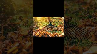 Comment entretenir gazon automne  Guide dentretien de la pelouse en automne [upl. by Marko534]