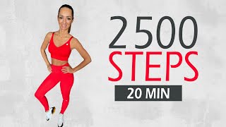 2500 CARDIO STEPS IN 20 MIN  Fett verbrennen in quotRiesenquotSchritten  Katja Seifried [upl. by Nelubez]