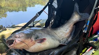 Kayak catfishing for Big Blues [upl. by Wallis671]