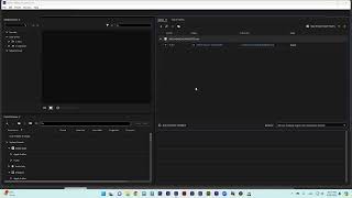 Adobe Animate  Exportation [upl. by Ttoile667]