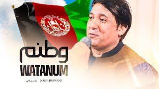 Nasir Parwani  Watanum 4K نصیر پروانی  وطنم [upl. by Shyamal]