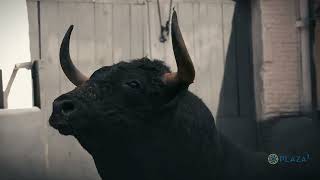 El desembarque de los toros de Cuadri para el Domingo de Ramos [upl. by Cotterell394]