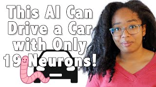 This BrainInspired AI Can Teach A Car To Drive With 19 Neurons  C elegans  Neural Control Policy [upl. by Eiramana]