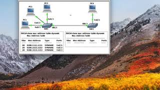 Hub vs Switch vs Router Collision Domain vs Broadcast Domain الفرق بين [upl. by Niffirg925]