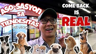 Best Pet Shop In the Philippines 🇵🇭  Tiendesitas Pet Shop 🐕  Tiendesitas Dog Shop 🐩  Dog Lover ❤ [upl. by Jobyna]