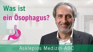 Was ist ein Ösophagus  Medizin ABC  Asklepios [upl. by Anaderol]