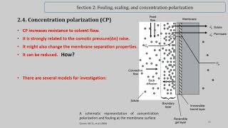 Concentration Polarization Excerpts from lecture 8 [upl. by Sinclare170]