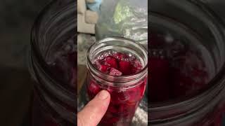 Fermented Beets garden vegetables gardening [upl. by Conlen]