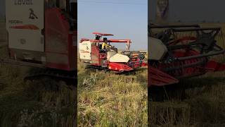 New Loval track harvester rg102 evo farming harvester track paddy shorts [upl. by Ikila445]