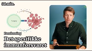 Det spesifikke immunforsvaret og immunitet [upl. by Hillie]