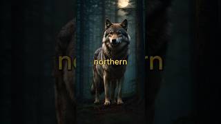 Mythological Origin of the Turks The Legend of Asena wolf turk history legend shorts [upl. by Keavy]