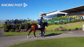 Melbourne Cup Wicklow Brave [upl. by Nygem]