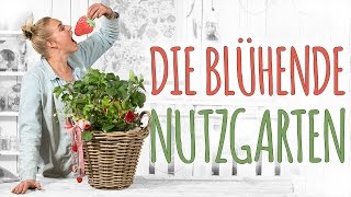 DIE BLÜHENDE NUTZGARTEN  EASY PFLANZSCHALE ZUM NASCHEN  DIY [upl. by Doloritas]