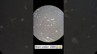 Nail polish magnified 400X is incredibleunderthemicroscope microscope science [upl. by Nyladnewg]