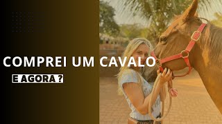 Itens essenciais que você precisa ter depois de comprar um cavalo  MV Rafaela Joveliano [upl. by Nnayllas192]