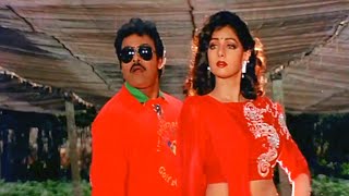 Chiranjeevi Sridevi Evergreen Superhit Video Song  Ammani Tiyyani Debba Telugu Song [upl. by Sidran]