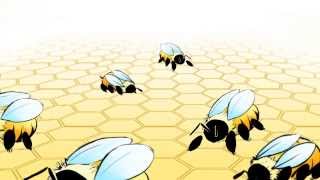 Reproduction and Brood Development  How are different kinds of bees created [upl. by Rentsch]