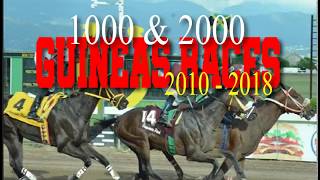 1000 amp 2000 GUINEAS RACES [upl. by Lah]