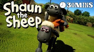 Shaun the Sheep  Season 3  Episodes 1620 30 MINS [upl. by Eliza]