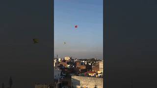 Looting guda from rooftop rawalpindi kite basantkiteflying kiteflying flyingkites travel kite [upl. by Roselyn]