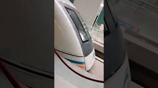 Maglev train in China 🇨🇳 [upl. by Hafeetal]