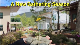 Gathering For A New Ground  Gathering Village amp Leisure Village Kundasang SABAH [upl. by Eerazed476]