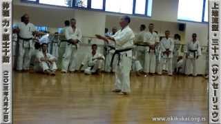 沖縄空手道 KATA SANSEIRYU by NAKAHODO TSUTOMU 2013 [upl. by Orsa283]