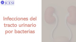 Infecciones Tracto Urinario  Proteus E Coli Saprophyticus Enterococcus [upl. by Elrem813]