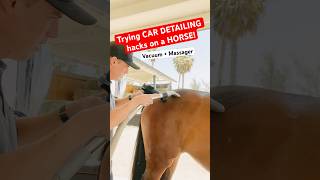 Trying CAR CLEANING hacks on HORSES 🐴🚗 [upl. by Etneciv]