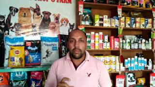 Deworming  Wormor  Sign  Tips in Dogs  Puppy  Bhola Shola  Harwinder Singh Grewal [upl. by Vasta]