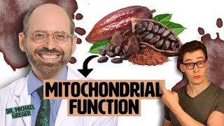 Dr Greger Cocoa for Muscle amp Mitochondrial Function  Fact or Fiction [upl. by Ahseinet]