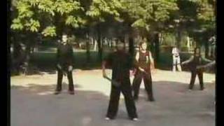 Tai Chi Kung Fu  Taiji Kung Fu Fan [upl. by Stronski761]