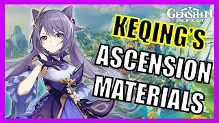 Keqing Ascension Materials Farm Guide  Genshin Impact [upl. by Sekofski]