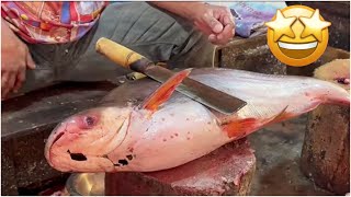 Big Pangas Fish CuttingBD Big Fish CuttingFish CuttingBDFishAndFishingLife [upl. by Neddie]