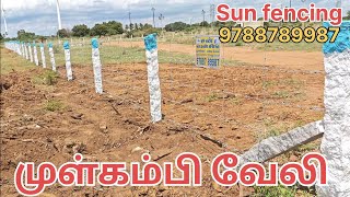 Sun fencing 6ft stone barbed fence முள்வேலி  5×4 barbed installation fencing tirunelveli [upl. by Lillie]