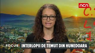 FOCUS  Interlopii de temut din Hunedoara [upl. by Tod]