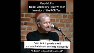 Kary Mullis The PCR test quotdoesnt tell you that youre sickquot [upl. by Hallvard694]