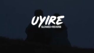 Uyire  slowed  reverb  from  Minnal Murali  arxsshh [upl. by Lewls]