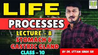 Life Process  LECTURE  8  Stomach amp Gastric Gland  Class10th By Dr Uttam Singh Sir [upl. by Daphene479]