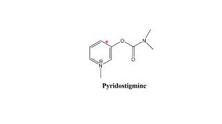 Pseudoirreversible and Irreversible Inhibitors of Acetylcholinesterase [upl. by Studner]