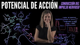 Potencial de Acción [upl. by Jereld]