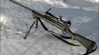 Echo1 M28 Sniper Rifle Review [upl. by Cristy]