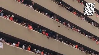 Astros fans play biggest game of catch after woman drops her hat into crowd  New York Post [upl. by Haldi646]